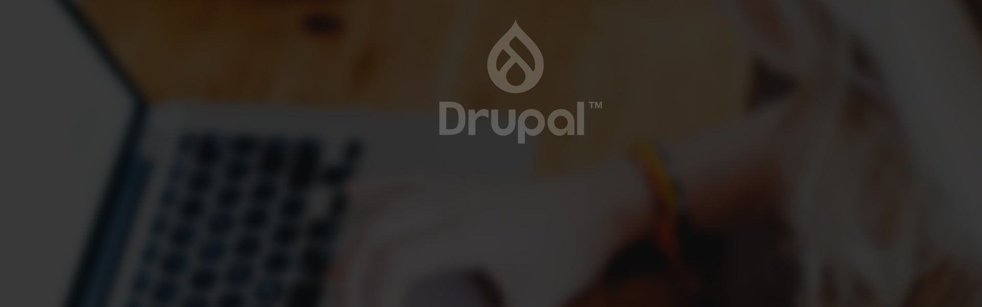 Drupal CMS Development Services