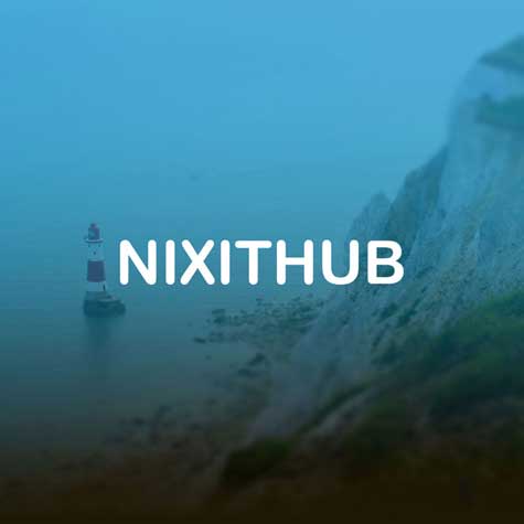 Project client nixithub