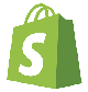 shopify development