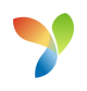 yii logo